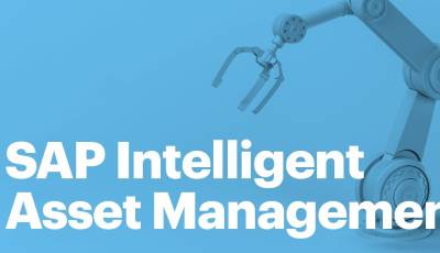 SAP Asset Intelligence Network (AIN) & Asset Central Foundation (ACF)